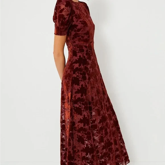 Copper Floral Ralph Velvet Dress - Picture 3 of 8